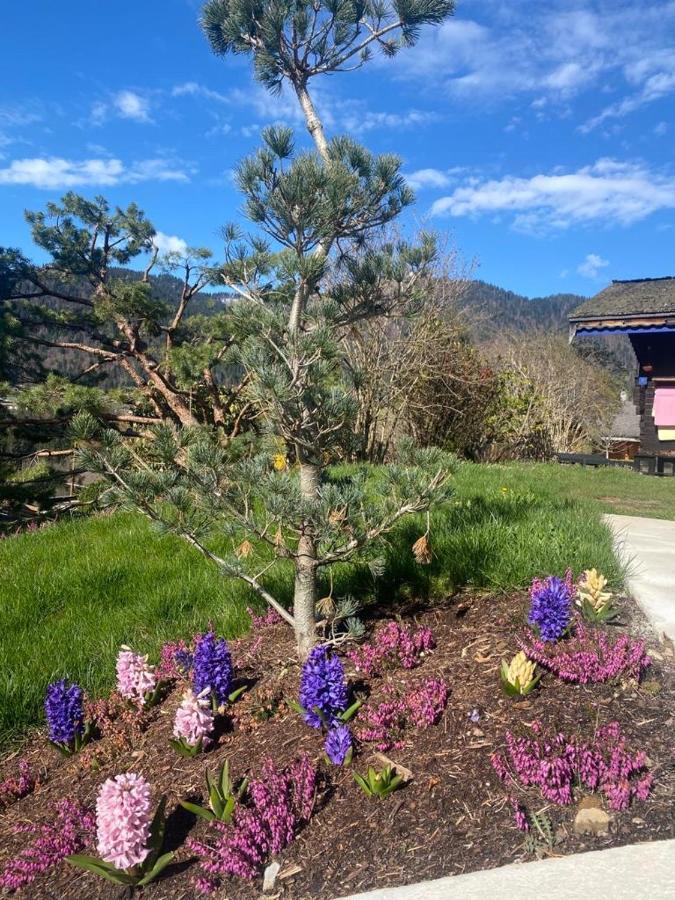 Micro-Lodge, Le Petit Nid D'Amour Montriond Exterior photo