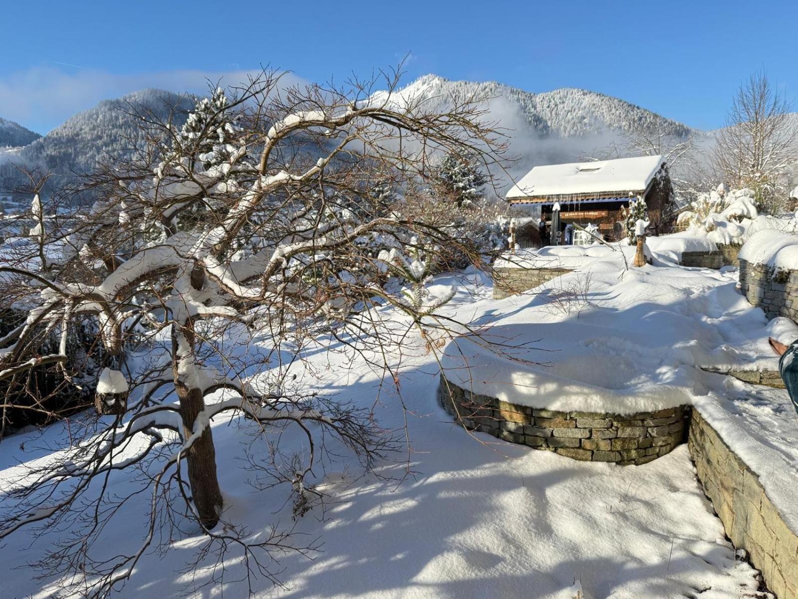 Micro-Lodge, Le Petit Nid D'Amour Montriond Exterior photo