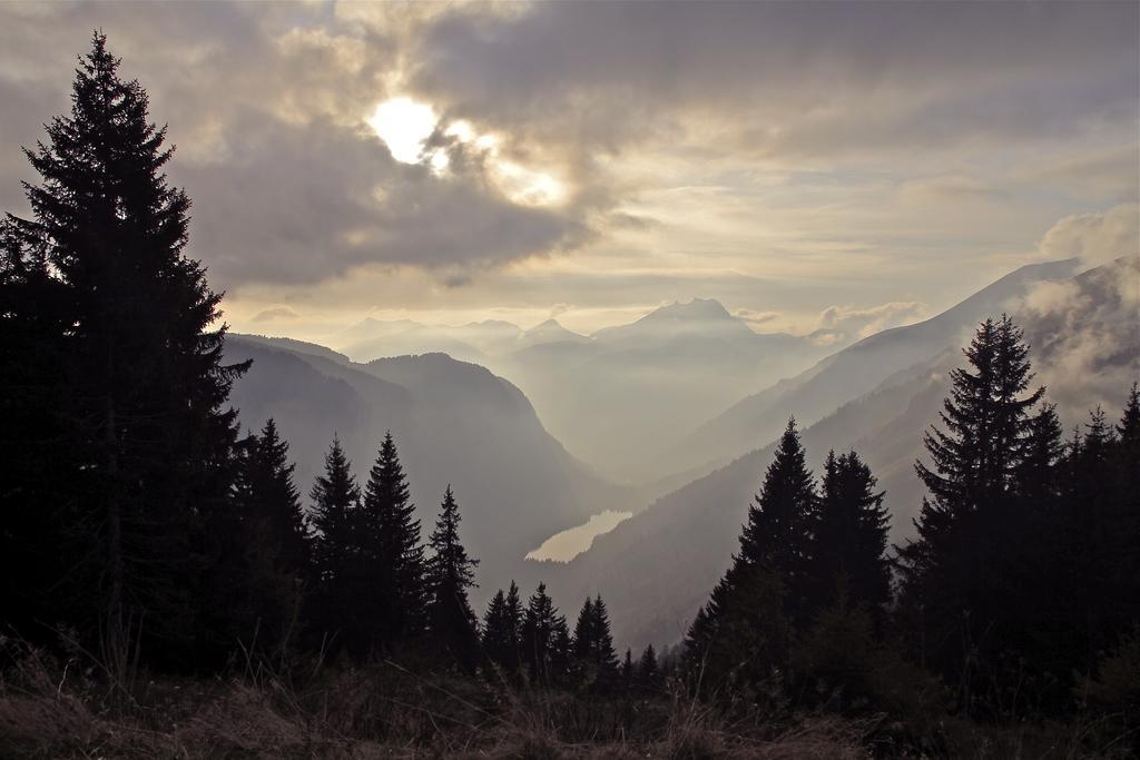 Micro-Lodge, Le Petit Nid D'Amour Montriond Room photo