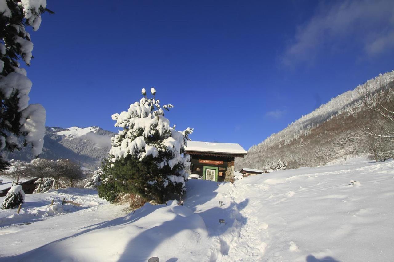 Micro-Lodge, Le Petit Nid D'Amour Montriond Exterior photo